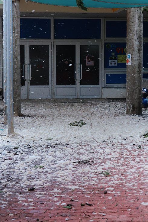桂浜水族館がツイートした地面一面が波の花に覆われている写真