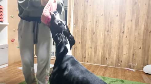 生後4カ月のカルアくん