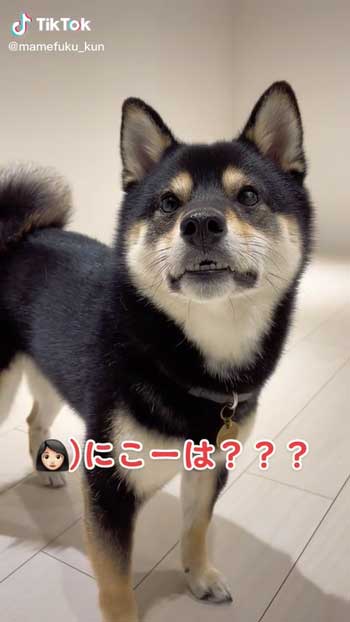 オススメ