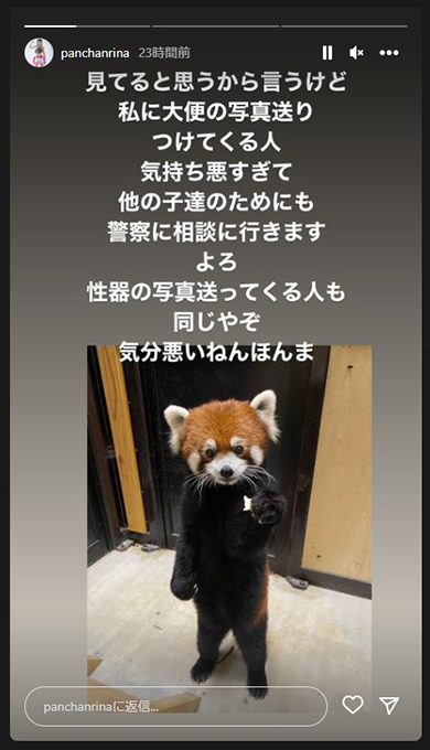 被害を訴えた“無敗の女王”ぱんちゃん璃奈