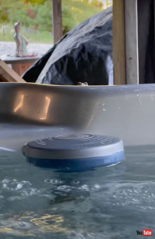 お風呂をのぞき見するカエル