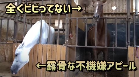 不機嫌アピール