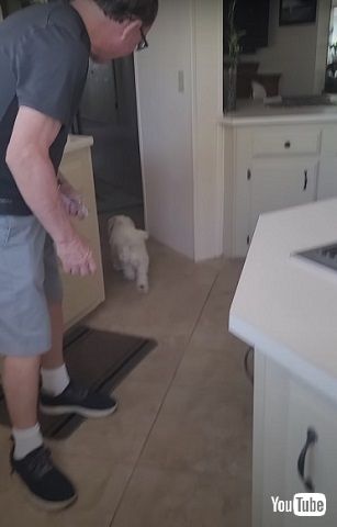 ワンコジャンプ