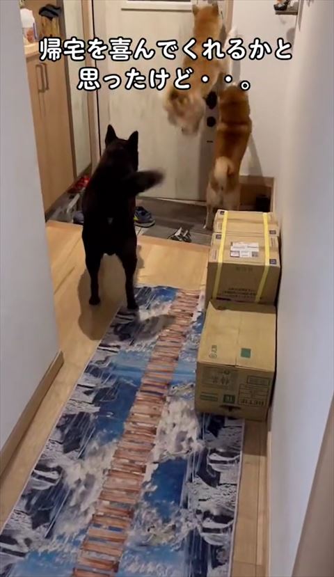 ジャンプする子