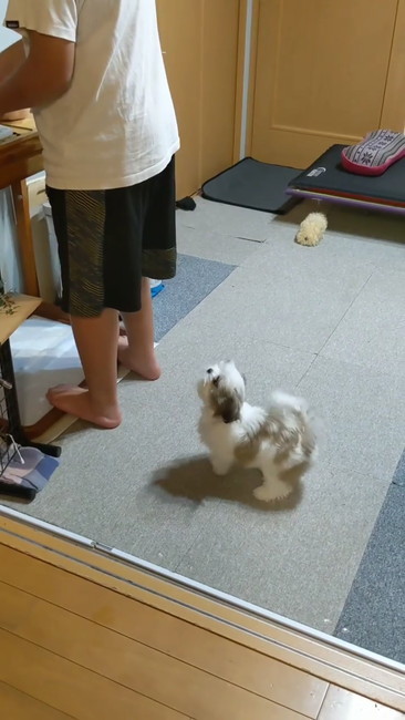 後ろでわんわん