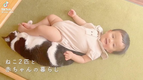 赤ちゃんと猫