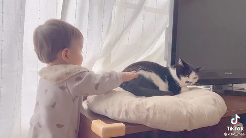 なでる赤ちゃん