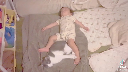 寝相がシンクロする猫と赤ちゃん