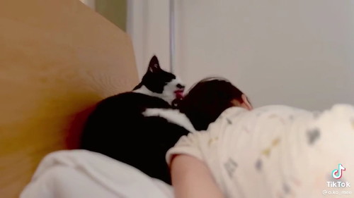 寝る猫と赤ちゃん