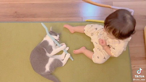 一緒に遊ぶ猫と赤ちゃん