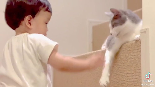 階段の猫と赤ちゃん