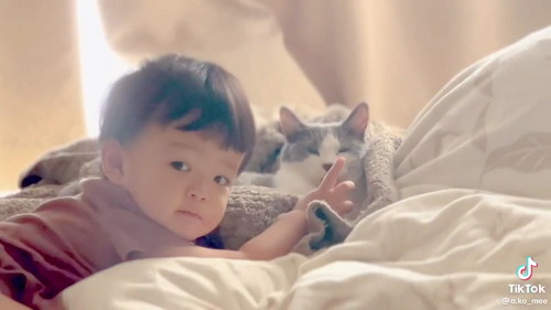 赤ちゃんと猫の寝る姿