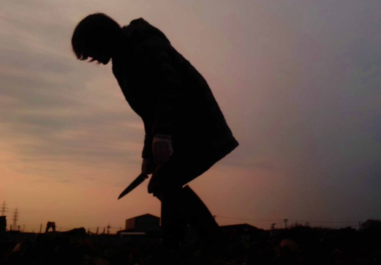 どうみてもホラー映画なキャベツ収穫