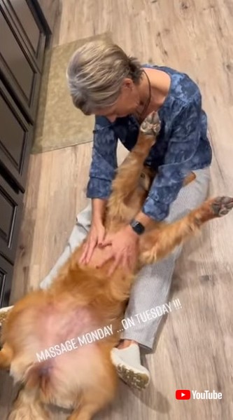 自慢気な飼い主さん