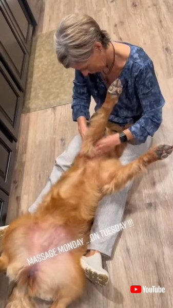 おなかマッサージされるワンコ