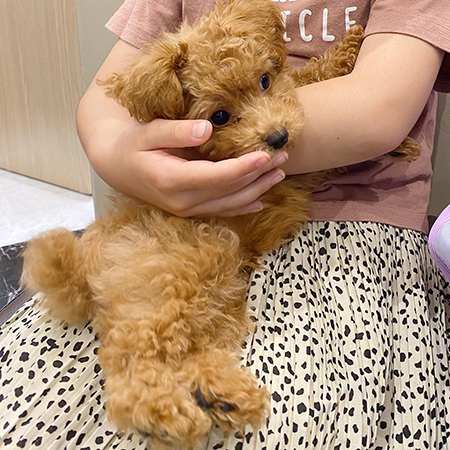 小さいころのちょこさん