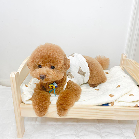 ベッドでまったりする犬