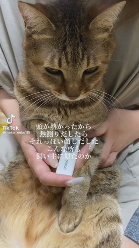 頭が熱かったから熱測ってみたら……