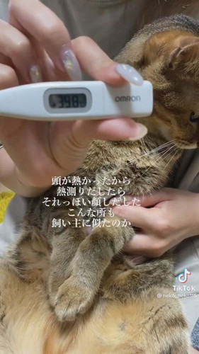 頭が熱かったから熱測ってみたら……