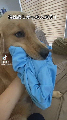 「僕は寂しかったんだぞ！」