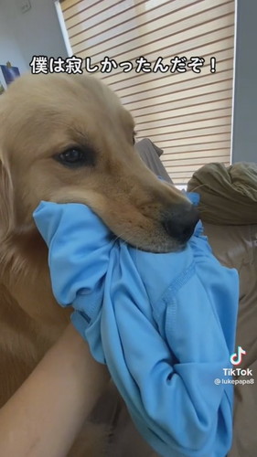 「僕は寂しかったんだぞ！」