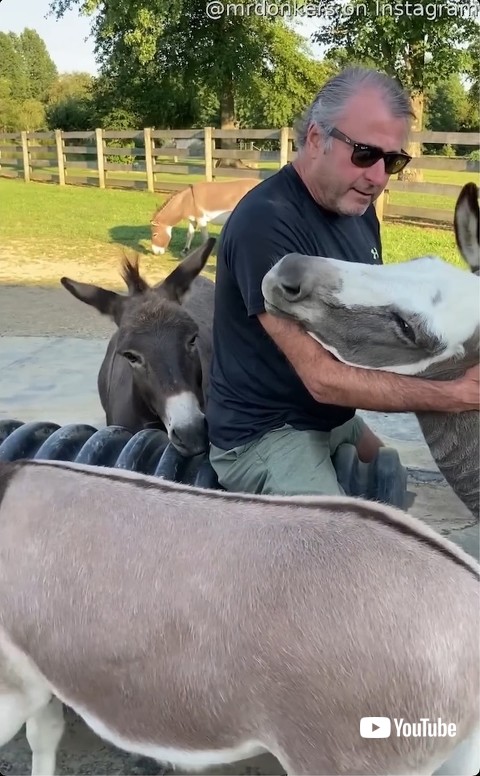 オーナーが大好きなロバ