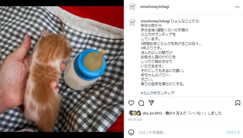 石田ゆり子のちびた