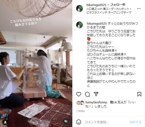 石田ゆり子と石田ひかり