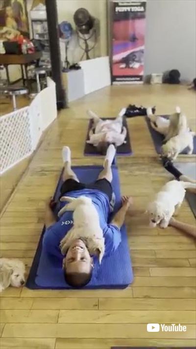 ヨガ中寝ちゃった犬