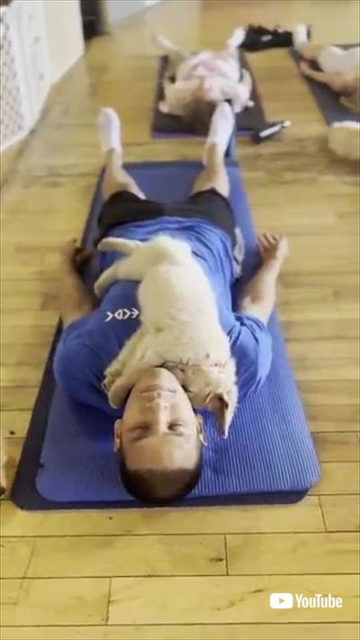 ヨガ中寝ちゃった犬