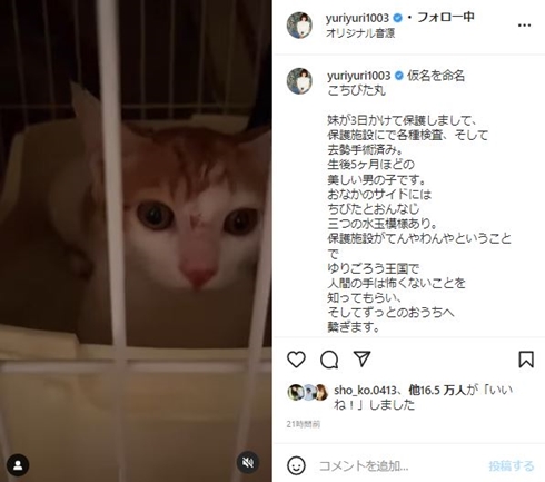 石田ゆり子の投稿