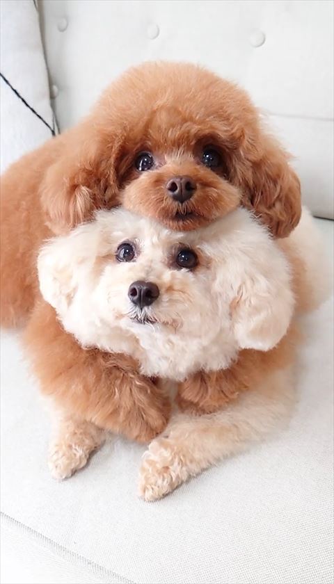 ソファでバックハグ