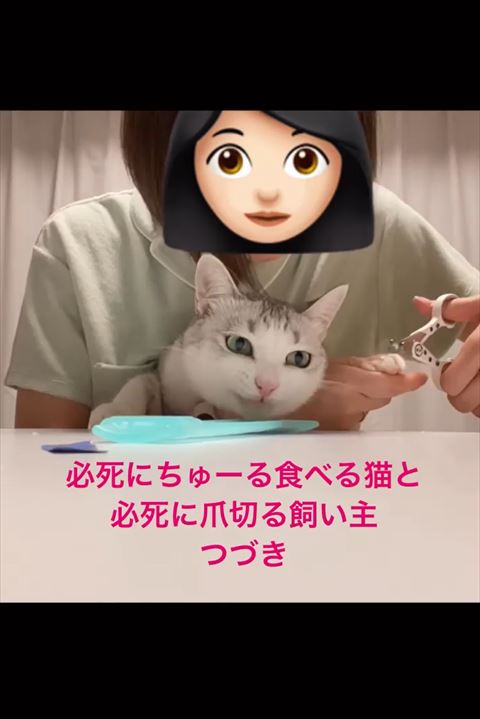 ほほえんでるような猫ちゃん