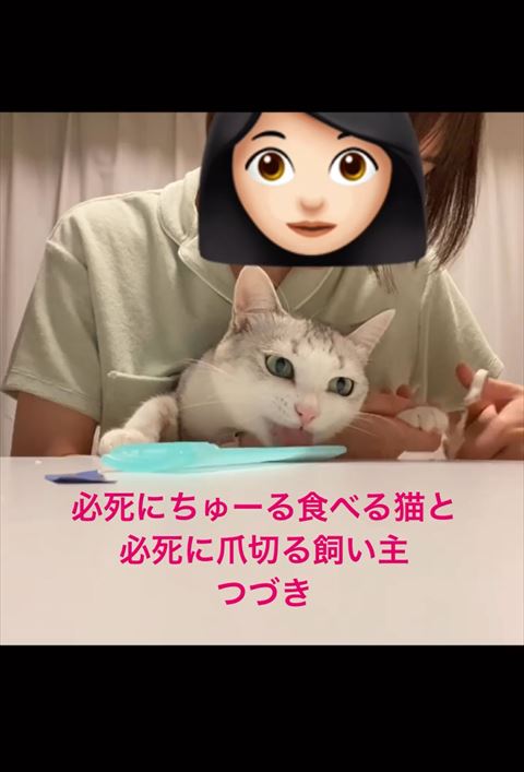 左前足爪切りながらぺろぺろ