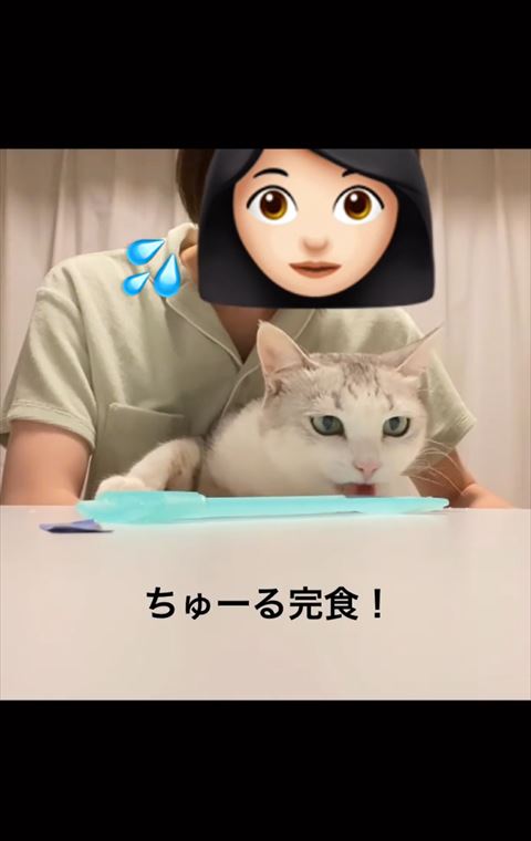 ちゅ〜る感触テロップ