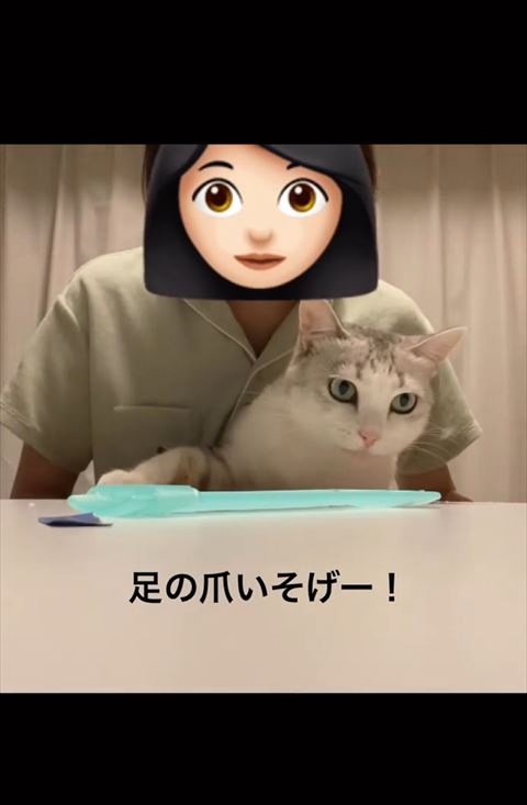 足の爪急げテロップ