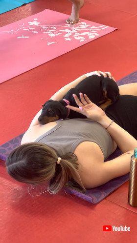 支えられる子犬ちゃん