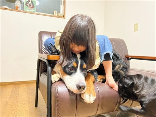 楽しみ過ぎて前日から待つワンちゃん