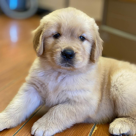 小さい頃のよんくくん