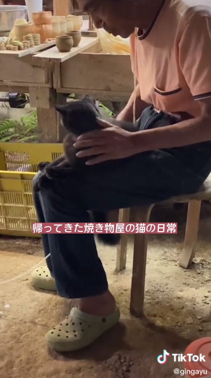 帰ってきた猫と陶芸家の日常