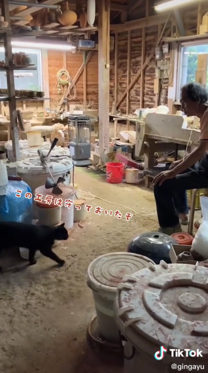 守っておいたぞという猫