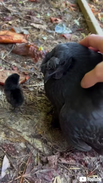 確認しようとする女性
