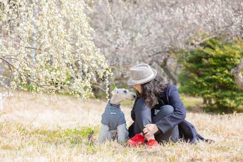 保護犬 出会い 幸せになるまで 殺処分寸前