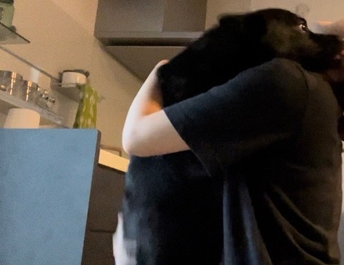 ママと再会した甲斐犬