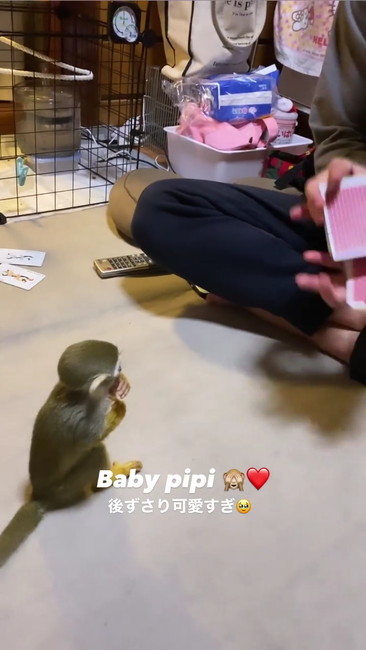 指くわえ見る02