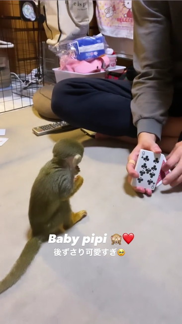 指くわえ見る03