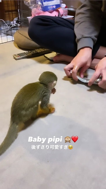 重なるトランプ