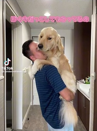 抱っこ