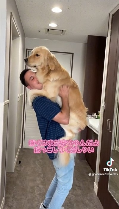 笑顔で抱っこするパパ笑顔で支えるパパさんですが