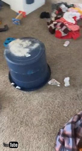 「Kid Creates Ashen Chaos in the Living Room || ViralHog」